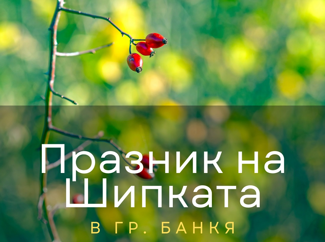Празник на шипката гр. Банкя, 2022 г.