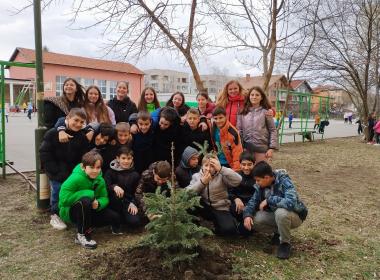 Как да празнуваме с грижа за природата